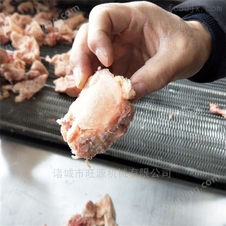 手工猪肉饺子速冻机