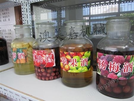 东莞酿酒|寮步、大岭山怎样做火龙果酒？