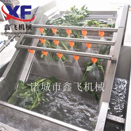 蔬菜清洗机厂家   牛蒡清洗机直销