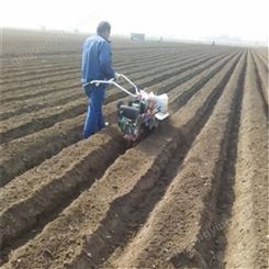 荆门瓜菜基地用开沟机 华圣田园管理机 农耕种苗起垄机