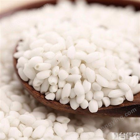 现货大量供应大米 精选鱼台白米 大米生产加工厂家