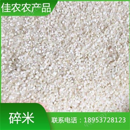 厂家供应出售大小碎米 抛光干净碎米 酿酒用碎米 饲料碎米
