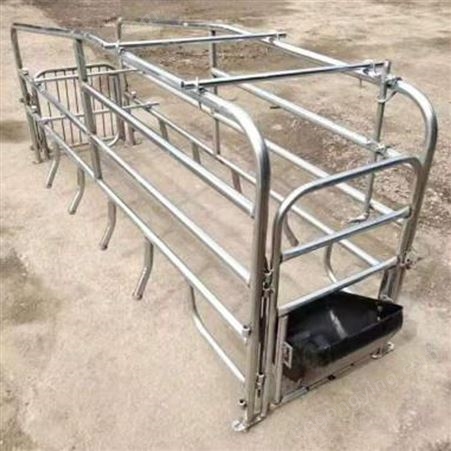 强星养猪畜牧设备养猪用母猪定位栏 母猪限位栏 批发供应