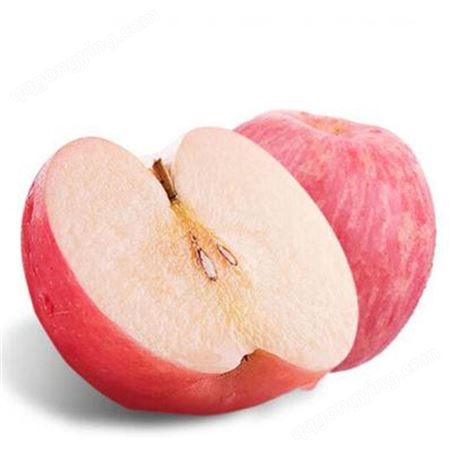 冷库存放苹果利润1吨批发价格 有冷库红富士苹果吗 代收苹果 批发厂家