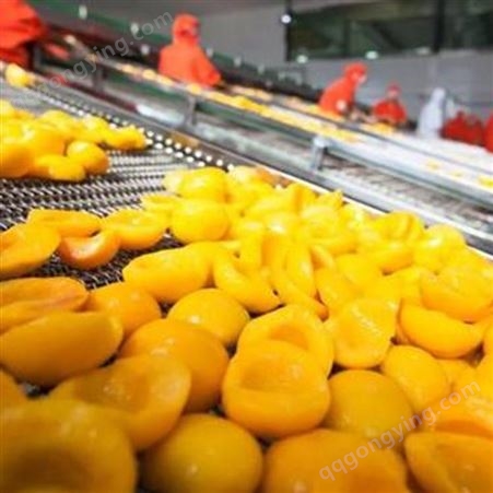 水果罐头 山东批发 优质黄桃 巨鑫源黄桃罐头食品