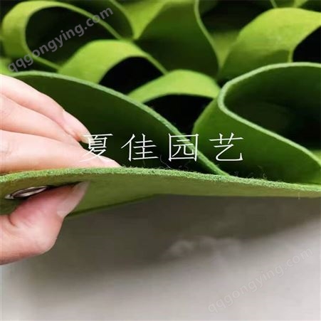 挂式种植袋 壁式种植袋 毛毡制品 型号齐全 现货发售 郑州夏佳园艺