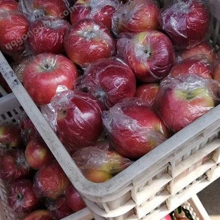 红富士苹果的介绍 苹果批发价格冷库