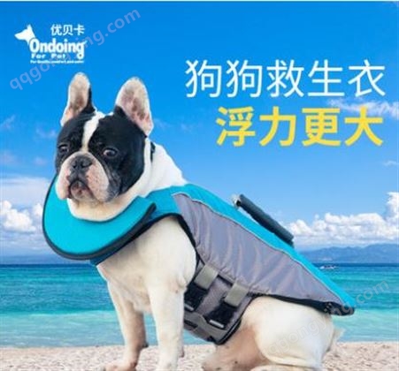 新疆吐鲁番 宠物服装狗狗泳衣衣服 夏季宠物服装亚马逊狗衣服 人鱼鲨鱼狗狗游泳衣