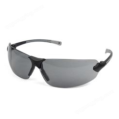 MSA/梅思安 9913283舒特-GAF防护眼镜