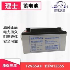 理士蓄电池 DJM1265s 12V-65H UPS电源专用铅酸蓄电池