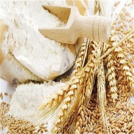 盛世雪源小麦淀粉 优质小麦淀粉  蓉播科技小麦淀粉批发零售