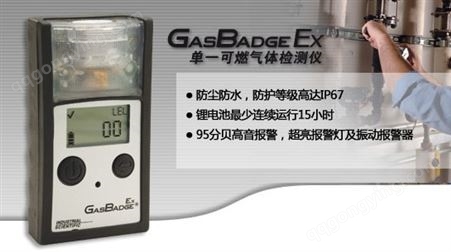GasBadge® EX(GB90)单一可燃气体检测仪
