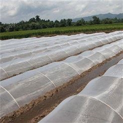 蔬菜防虫网 供应商现货防虫网量大优惠 果园防虫网