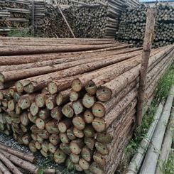 路南腾福竹木 高压线防护杉木杆 河道打桩用 5米木质材料