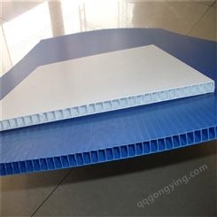 大量供应 塑料中空板隔板 防静电蜂窝板 中晶塑业