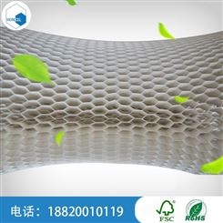 广州塑料蜂窝芯 高强度塑料蜂窝板厂家价格