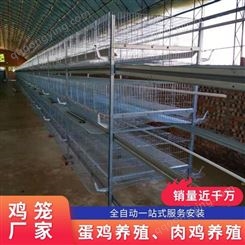 层叠式 肉鸡养殖笼 鸡笼大层叠 蛋鸡养殖笼 自动设备