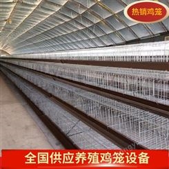 鸡笼子厂家现货批发 大型鸡笼子 母鸡笼阶梯式 自动产蛋笼