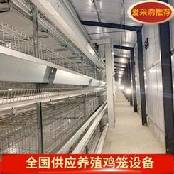 阶梯式蛋鸡笼供应 层叠式肉鸡笼生产 有保障的鸡笼子