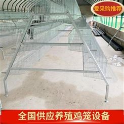 广州工厂鸡笼子定制 四层四门自动化设备齐全蛋鸡笼 出口标准