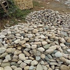 10-20厘米天然鹅卵石批发 河卵石