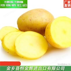 新鲜土豆出口 土豆代理销售 各种包装土豆