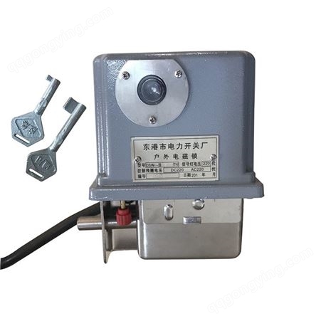 户外电磁锁 DSW1-Y（TH）型（304不锈钢）