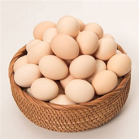 鸡蛋批发 北京油鸡商品蛋厂家批发 养殖场高产北京油鸡鸡蛋