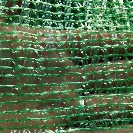 盖土网 绿色盖土网 空旷场地盖土网 防尘网 现货批发
