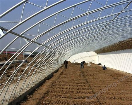 农业用日光温室大棚 农业高温棚 保温性能好 提高土地利用率