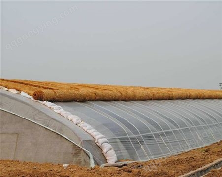 搭建日光温室大棚 蔬菜水果种植 现场测量安装 沐雨辰风