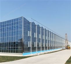智能玻璃温室大棚建设工程 连栋温室建设 顶开窗通风系统