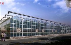 玻璃温室 智能连栋玻璃温室大棚建造 轻钢结构 外形美观