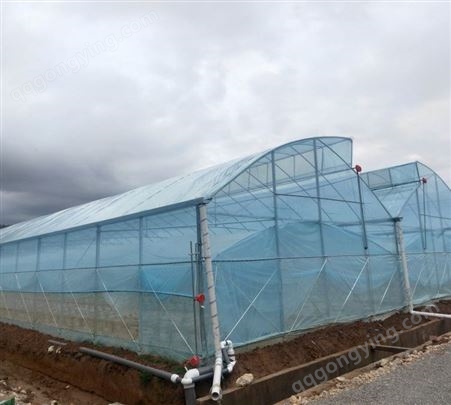 连栋薄膜温室 占地少 适合花卉种植的温室大棚 农业温室承建商
