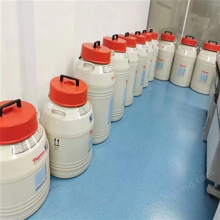 二手液氮罐Thermo CY50925-70 液氮存储罐