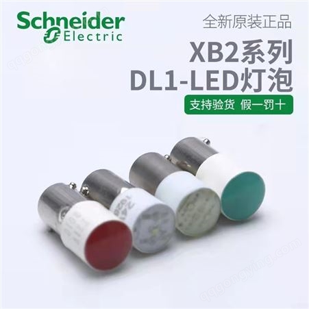 施耐德电气DL1-LED241/LED243/LED244/LED245/LED246灯泡AC/DC24V