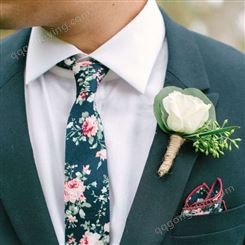 TONIVANI-500碎花男士领带批发 休闲男领带厂家直供 嵊州男式印花领带一件代发