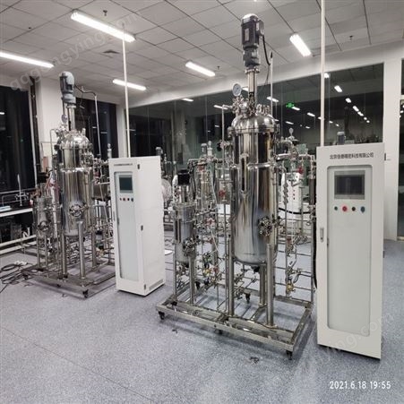 JD-SFM-10-100L实验室全自动不锈钢多联发酵罐设备 多级发酵设备