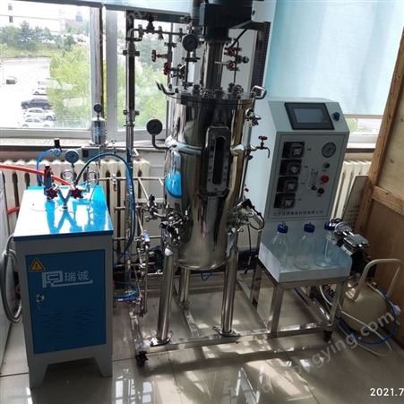 实验室全自动发酵设备 发酵罐生产厂 欢迎订制