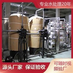 5-50吨大型工业双级反渗透纯水处理设备酿酒厂橡胶厂净水过滤装置