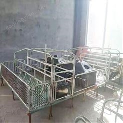 福立畜牧批发供应 欧式母猪产床养殖设备 双体分娩保育两用产床