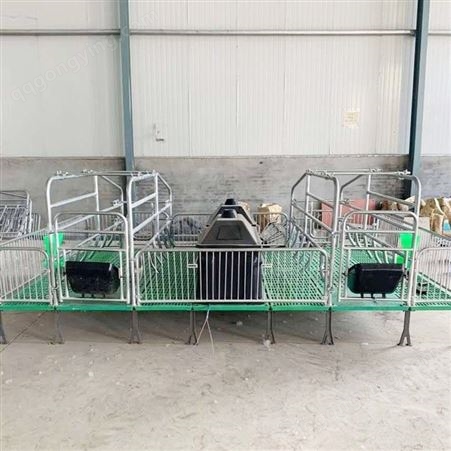 养猪场用母猪产床 供应 带限位栏产床 现货 母猪全复合产床