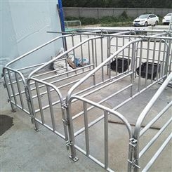 母猪产床限位栏 加工 加工 养猪场定位栏 带底定位栏