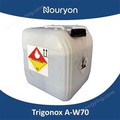 诺力昂 TRIGONOXA-W70 叔丁基氢过氧化物 TBHP 75-91-2