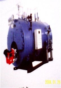 导热油锅炉 温度可达400至600度的高温适合皮革化工高温行业