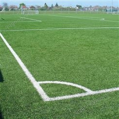 幼儿园假草坪 人造仿真草皮地毯 运动场足球场人工草坪 人工塑料假草皮