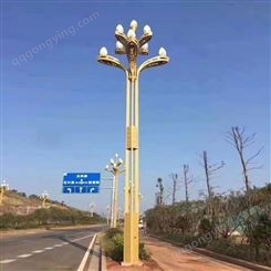 道路照明路灯杆5米6米LED路灯杆10米路灯杆20米太阳能路灯高杆灯