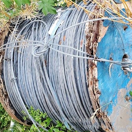 广元回收净重500kg钢绞线 青川上门回收钢绞线 回收24芯光缆