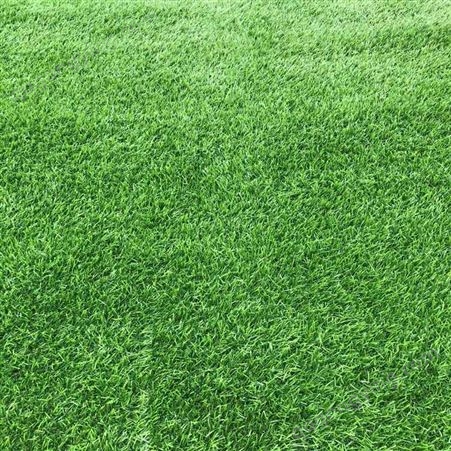 安徽人造草坪供应商 各种规格 草坪 质量保障  