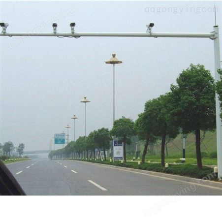河南道路交通监控杆  电子监控杆 大型喷塑不锈钢监控杆 生产厂家
